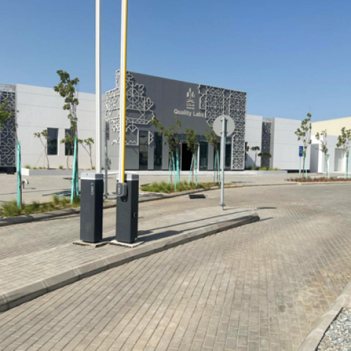 Ready-Made Products 2